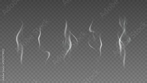 Smoke isolated on transparent background. Vector fog, vapor set.	