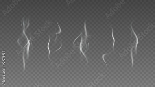 Smoke isolated on transparent background. Vector fog, vapor set.	