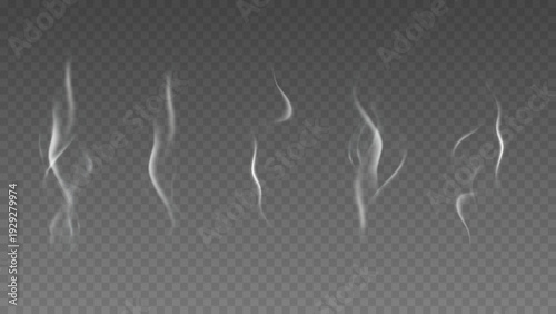 Smoke isolated on transparent background. Vector fog, vapor set.	