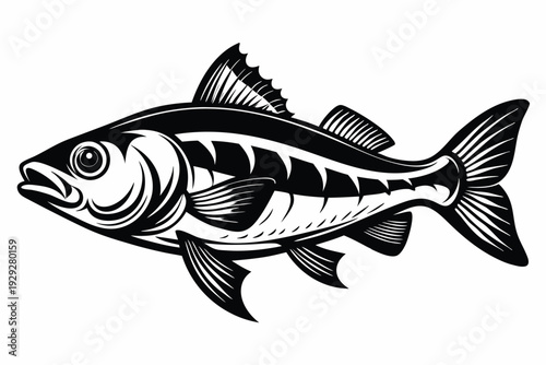 cod fish silhouette line art vector illustration