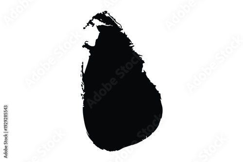 A striking black silhouette depicting the island nation of sri lanka