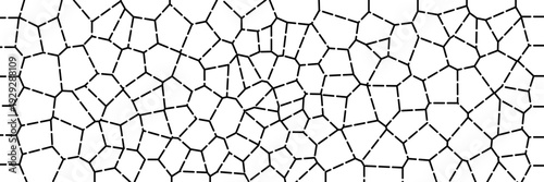 Segmented line Voronoi pattern geometric grid, Abstract broken line mosaic texture in black and white