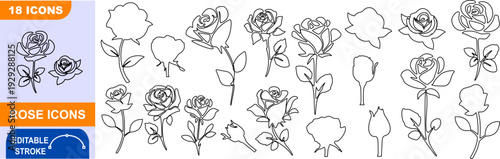 Minimalist outline rose flower icons collection, Vector set of line art rose symbols for branding