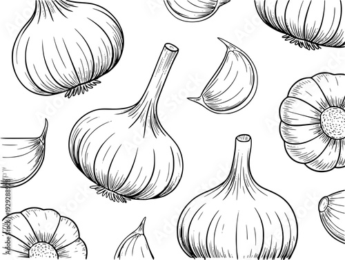 Hand Drawn Garlic Bulbs and Cloves Pattern White Background food ingredient