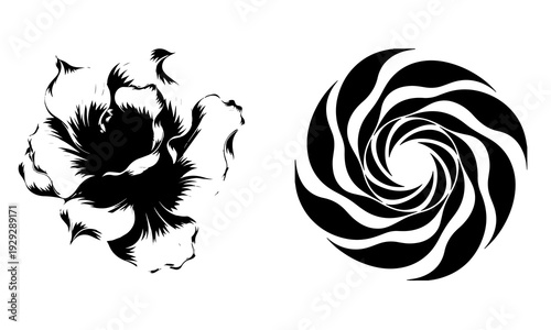 black and white flower