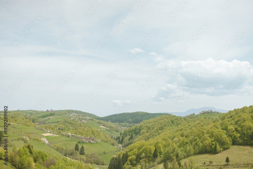 Obraz premium Individuals embrace the tranquility of rural life while foraging for stinging nettles in lush green fields promoting mindfulness and sustainable living practices