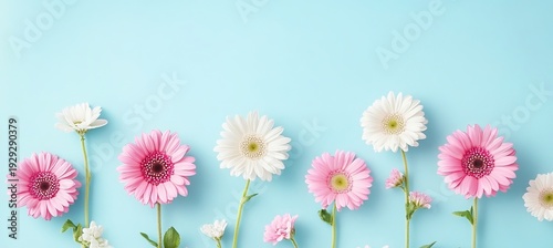 Delicate pastel floral symphony showcasing vibrant blossoms in pink, purple, and sky blue hues.