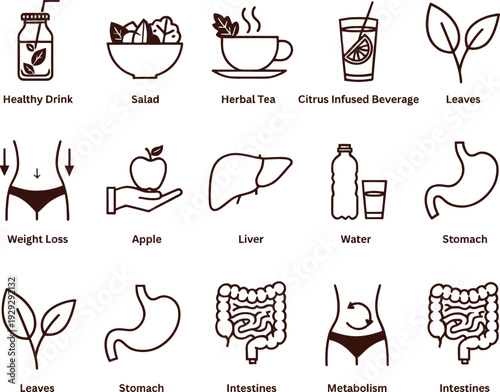 Healthy lifestyle icons for digestive wellness and weight loss with organic food and drink symbols on clean white background