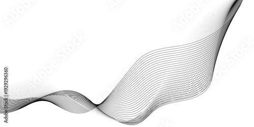 Black abstract background design flowing black and gray lines on a white backgrounModern graphic design element stripes style concep flyer, card, or brochuret for web banner, flyer,d. 