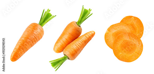 Carrot isolated on transparent background. PNG format	
