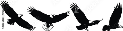 Bald eagle flying silhouette set, majestic bird of prey vector illustration isolated on white background