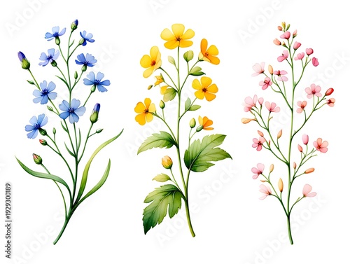 A watercolor painting featuring delicate blue yellow and pink wildflowers with vibrant green leaves on a white background
