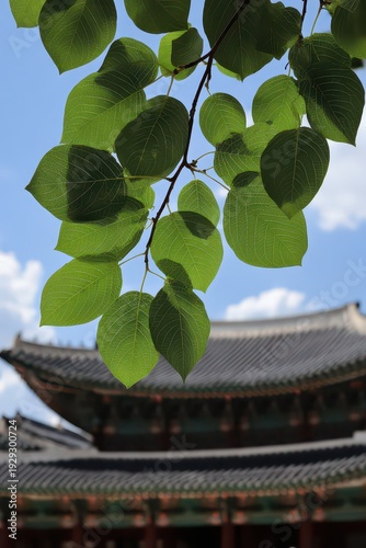 Green Leaves with Holes on Branch with Gray Roof Structure in Background against Cloudy Sky During Daytime