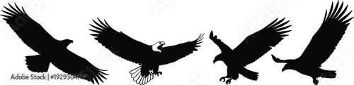 Eagle flying silhouette collection, bald eagle bird of prey vector illustration isolated on white background