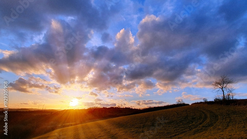 Colorful sunset background with abstract clouds and trees.