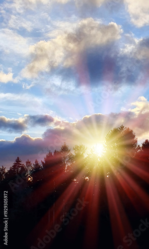 Colorful sunset background with abstract clouds and trees.
