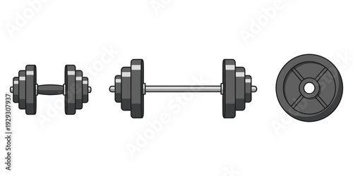 collection of vector illustrations of weight lifting equipment in the gym