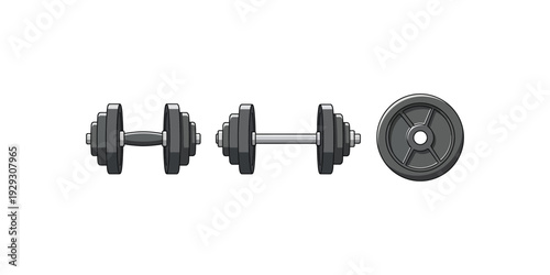 collection of vector illustrations of weight lifting equipment in the gym