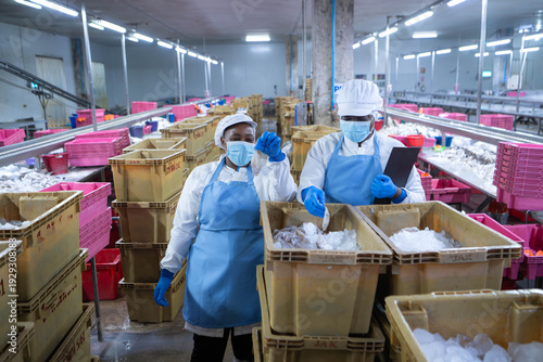 Wallpaper Mural Quality control officer and workers sorting, inspecting raw fish Torontodigital.ca