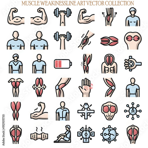 Muscle Weakness Concept Human Anatomy Medical Health Illustration