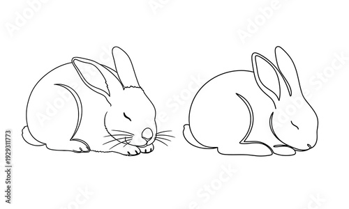 Two rabbits in a simple line drawing