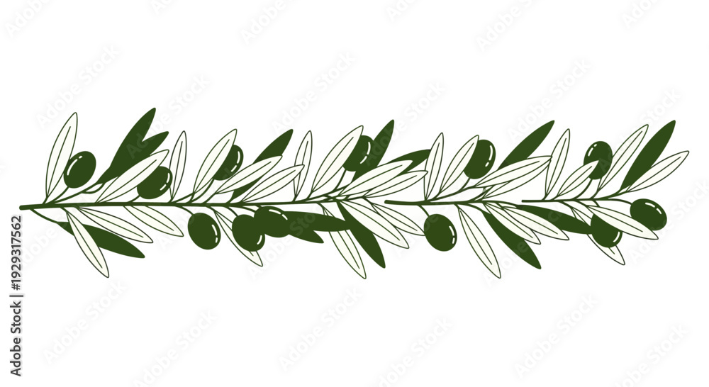 Obraz premium Olive branch with green leaves and fruits