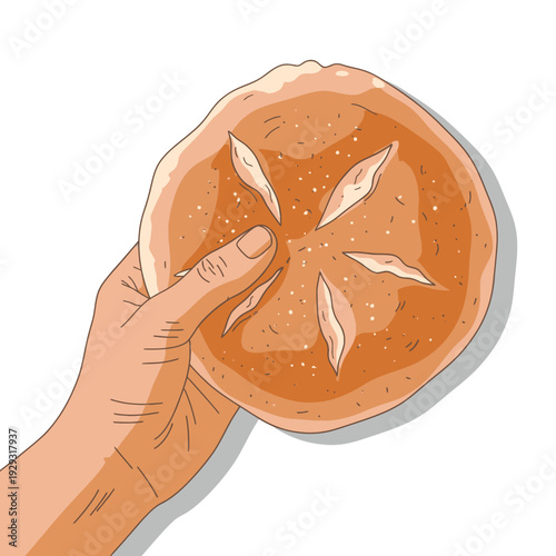 Hand holding an orange segment.