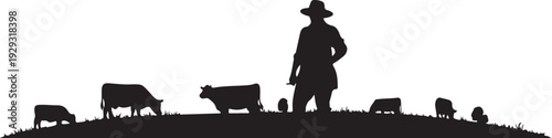 Black silhouette of cowboy herding cattle on hill cows