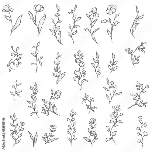 Spring flowers with petals and leaves, hand-drawn. Vector illustration. Collection of summer plants and wildflowers, isolated on a white background. Summer, meadow, garden, and Easter themes.