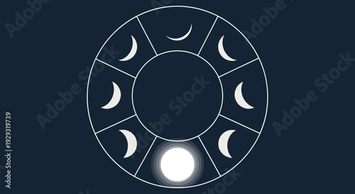 Moon Phases Cycle Graphic Illustration.