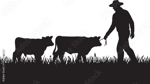 Black silhouette of man leading two cows through grass
