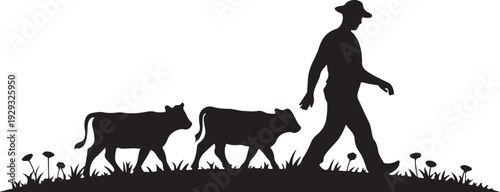 Black silhouette of man walking with two cows