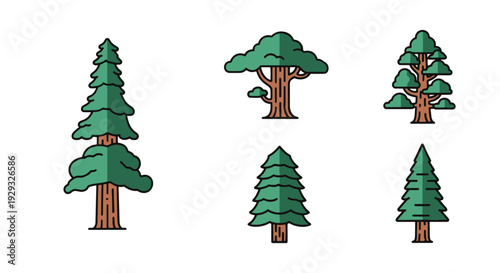 Sequoia tree Line creative modern color illustration
