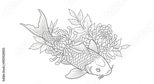 Koi Fish and Chrysanthemums Line Art Illustration