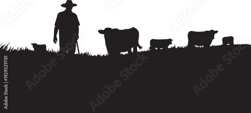 Silhouette of cowboy with cattle on grassy hill cows