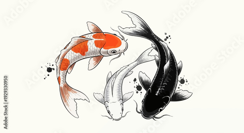 Three Koi Fish Yin Yang Symbol Watercolor Illustration