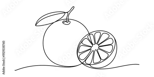 Minimalist one line art illustration of a fresh whole orange and a sliced half on white background.