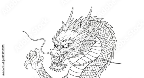 Asian Dragon Tattoo Design Line Art