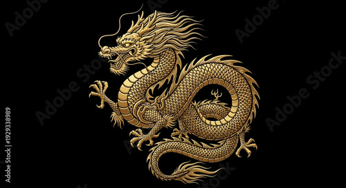 Golden Dragon Illustration on Black Background, Mythical Creature, Asian Symbol