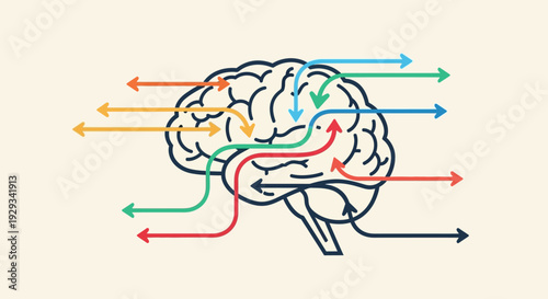 Brain with colorful arrows showing neural pathways and information flow