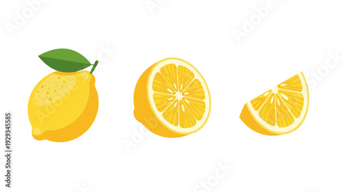 fresh whole lemon with half and quarter slices hand drawn realistic fruit set for food design