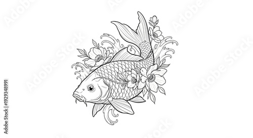 Koi fish and flowers line art illustration, black and white drawing