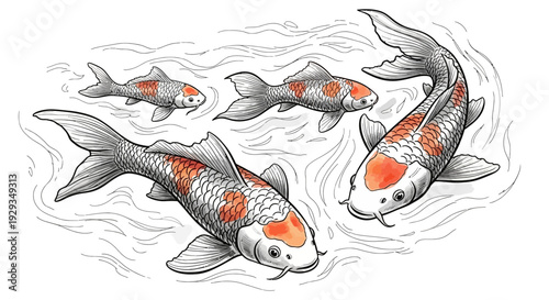 Koi Fish Swimming in Water Illustration
