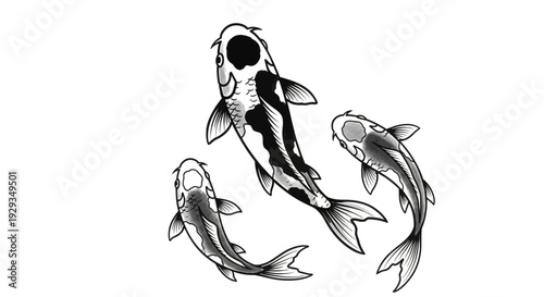 Three Japanese Koi Fish Swimming - Black and White Illustration