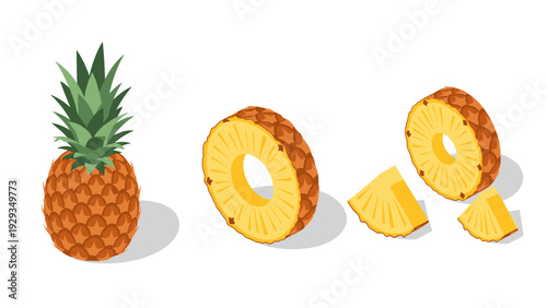whole pineapple and sliced pineapple rings with segments hand drawn vector illustration for food and tropical design