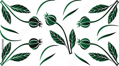 Dark green rosehip and leaf illustrations on white background for designs and patterns  various shapes and sizes