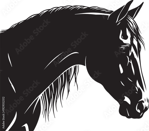 Elegant horse head silhouette, detailed line art illustration, vector graphic