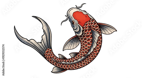 Japanese Koi Fish Illustration - Traditional Asian Art Style