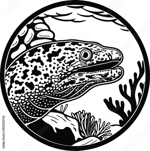 Vector illustration of spotted moray eel head in circle frame