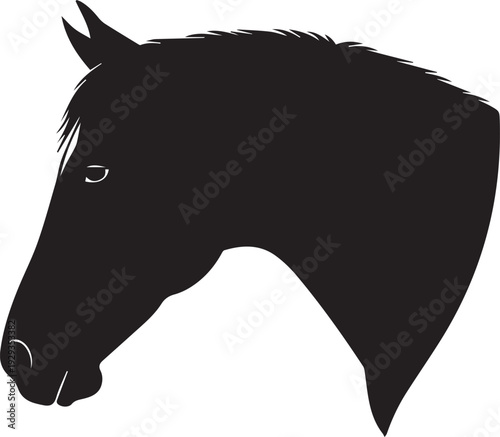 Horse head profile vector silhouette illustration, majestic animal line art drawing